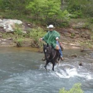 Meet your Posher, Cindy